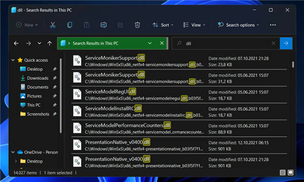 Appraiserres.dll 在 Windows 11 中不起作用？