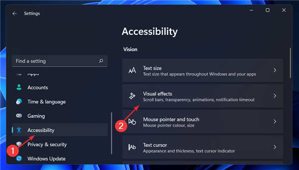 如何在Windows11中禁用動(dòng)畫(huà)