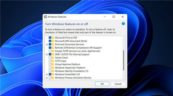 win11系統(tǒng)服務(wù)哪些可以關(guān)閉_在Windows11上安