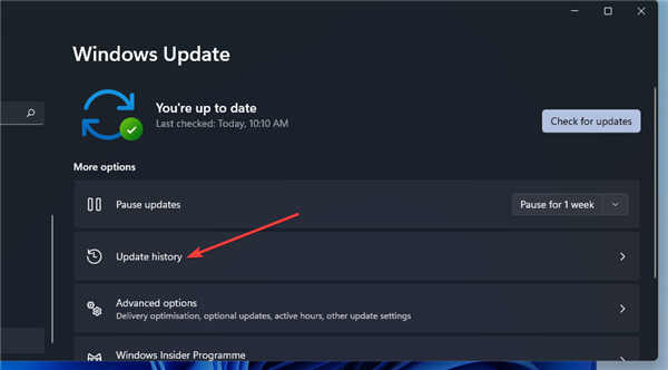 如何在Windows11上修復(fù)0x0000007c(ERROR_INVALID_LEVEL)
