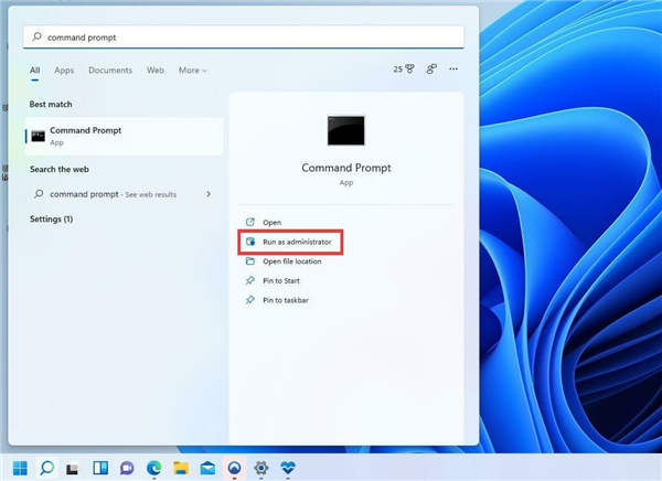 如何禁用 Windows 11 上的搜索功能