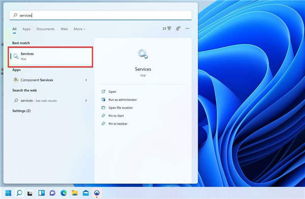 如何禁用 Windows 11 上的搜索功能