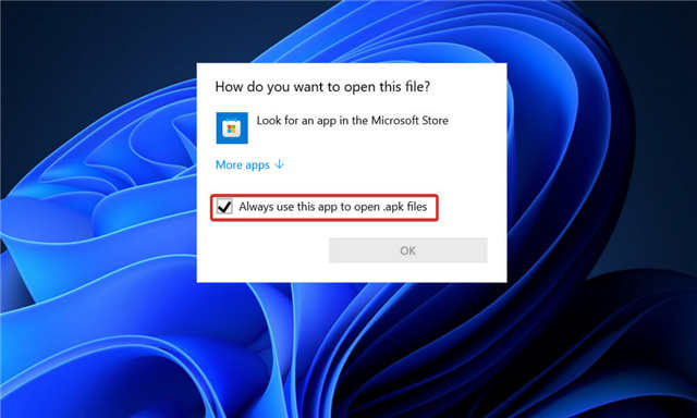 WSA在Windows11中不起作用?嘗試這些修復(fù)