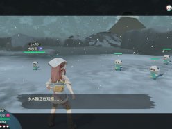 寶可夢傳說阿爾宙斯強(qiáng)制與大大大量任務(wù)
