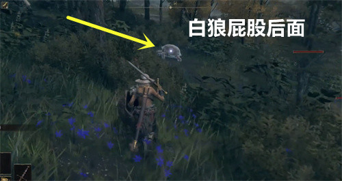 艾爾登法環(huán)三只睿智獸物找不到在哪 三只睿智獸物具體位置