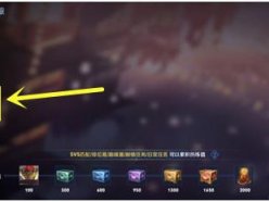 王者榮耀玉兔公主優(yōu)惠劵