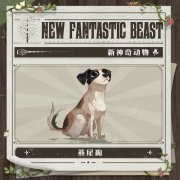 哈利波特新賽季更新了什么