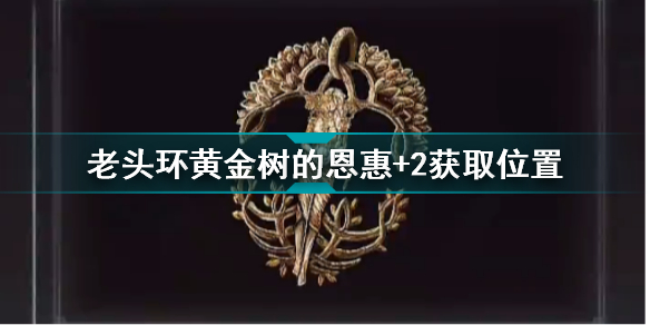艾爾登法環(huán)黃金樹的恩惠+2怎么獲得_老頭環(huán)黃金樹的恩惠+2獲取位置