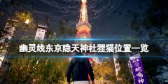 幽靈線東京隱天神社貍貓