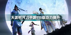天涯明月刀手游115級功力