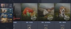 黑色沙漠手游暗夜精靈技