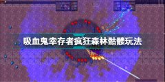 吸血鬼幸存者瘋狂骷髏怎