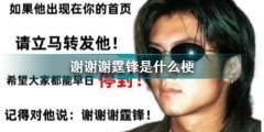 網(wǎng)絡謝謝謝霆鋒梗出處介