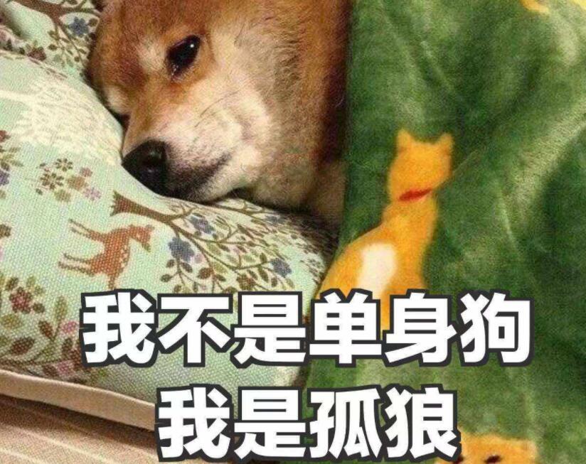 情人節(jié)單身文案大全_2022情人節(jié)單身狗朋友圈文案