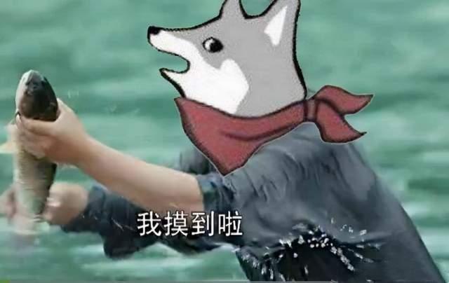 lol新英雄zeri怎么玩_lol新英雄zeri出裝備天賦技能加點(diǎn)介紹