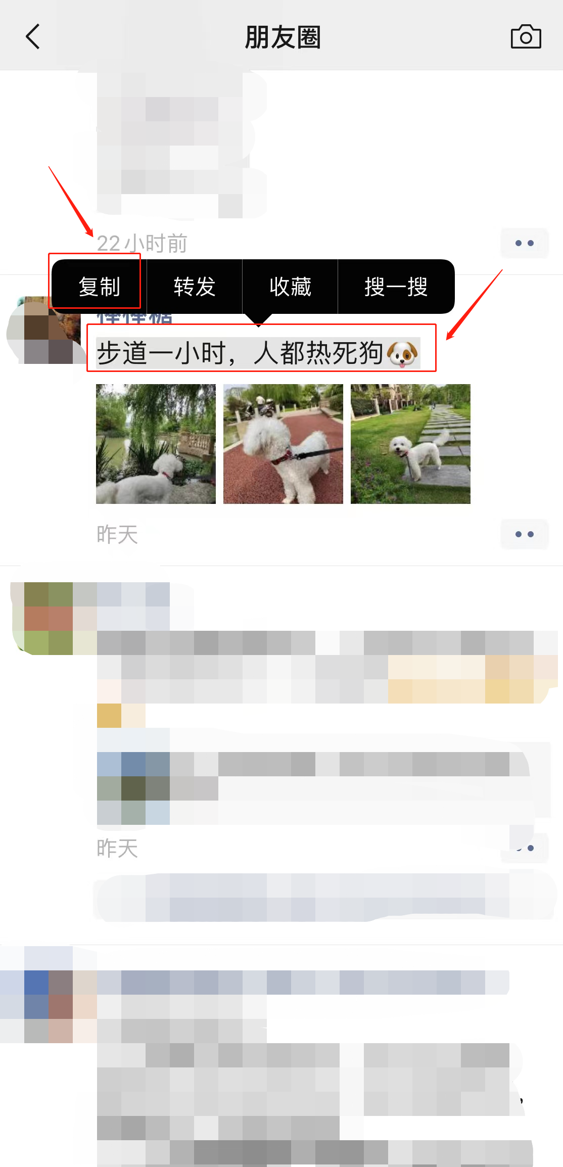 怎么把別人發(fā)的內(nèi)容轉(zhuǎn)發(fā)朋友圈(5)
