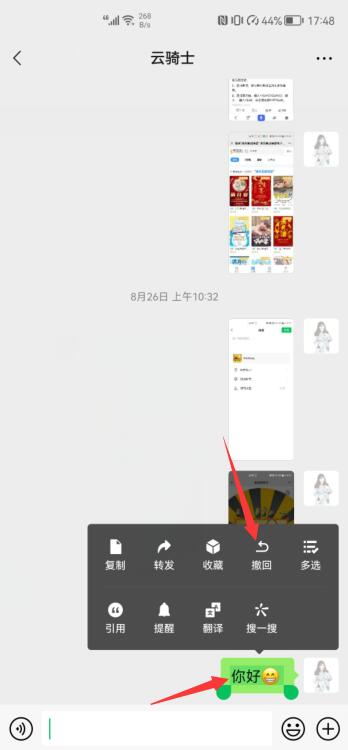 微信怎么刪除撤銷痕跡(2)