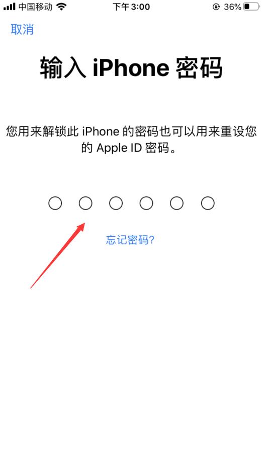 蘋果手機(jī)忘記id密碼了怎么弄？(4)