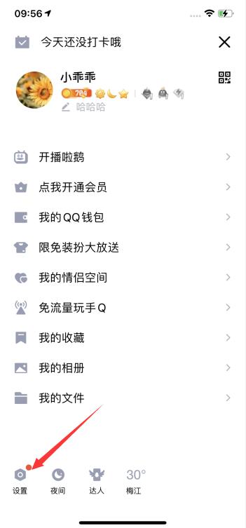 qq彩簽在哪里(2)