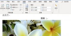word圖片怎么設置統(tǒng)一大小