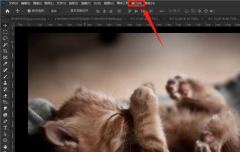 ps怎么設(shè)置仿制源模式-ps設(shè)置仿制源模式