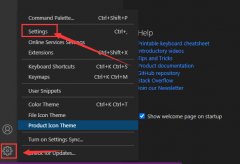 vscode怎么取消自定義圖示符功能-取消自定