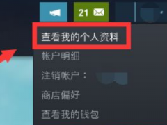 steam怎么刪除動態(tài)-steam刪除