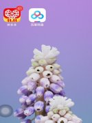 拼多多怎樣禁止拼單動(dòng)態(tài)同步到拼小圈