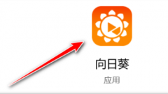 向日葵如何開啟雙重驗證訪問-向日葵開啟