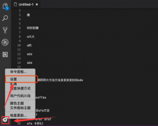 vscode小地圖怎么打開-vscode打開小地圖的步