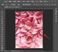 怎么在ps里設計玫瑰花瓣撕紙-ps撕紙海報