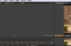 premiere視頻渲染時(shí)怎么不渲染音頻-pr單獨(dú)