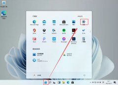 Windows11怎么查看IP地址-win11查看電腦IP地址