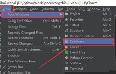 PyCharm怎么打開連接頁面-PyCharm打開