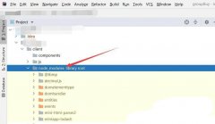 IntelliJ IDEA中怎么隱藏nodemodules文件夾-In