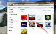 愛奇藝看圖如何給照片設(shè)置馬賽克-愛奇藝