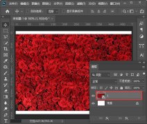 ps玫瑰花背景圖如何做噴色描邊效果-ps噴