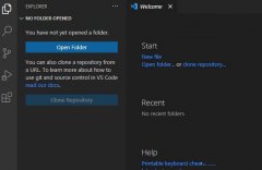VSCode類型參數(shù)怎么顯示-VSCode顯示類型參數(shù)