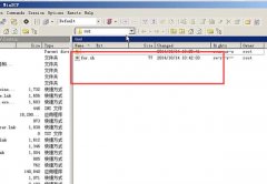 WinSCP怎么更改文件的打開