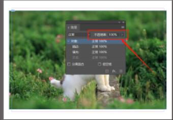 Indesign調(diào)整對象的透明度方法介紹