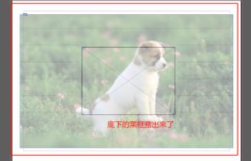 Indesign調(diào)整對象的透明度方法介紹