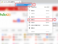 Edge瀏覽器無(wú)法復(fù)制網(wǎng)址變