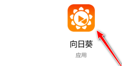 向日葵啟用手動設(shè)置代理教程介紹