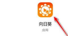 向日葵怎樣設(shè)置啟用手動代理-向日葵教程