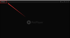 PotPlayer中開(kāi)啟顯卡硬件解碼的操作流程介