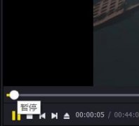 PotPlayer制作GIF動圖的具體操作方法