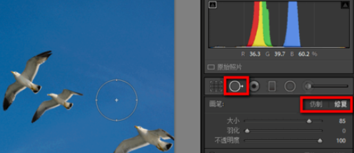 lightroom污點去除功能使用過程介紹