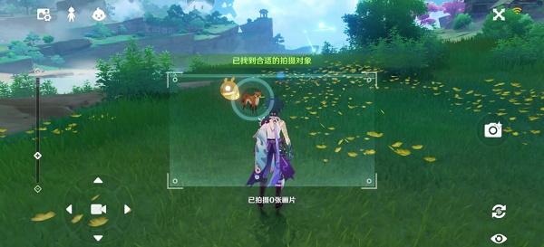 《原神》稻妻特色動(dòng)物拍照任務(wù)完成攻略