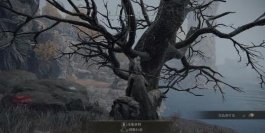 艾爾登法環(huán)滾石流刷魂技巧
