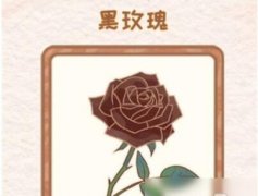 怎樣獲取花店物語黑玫瑰-花店物語黑玫瑰